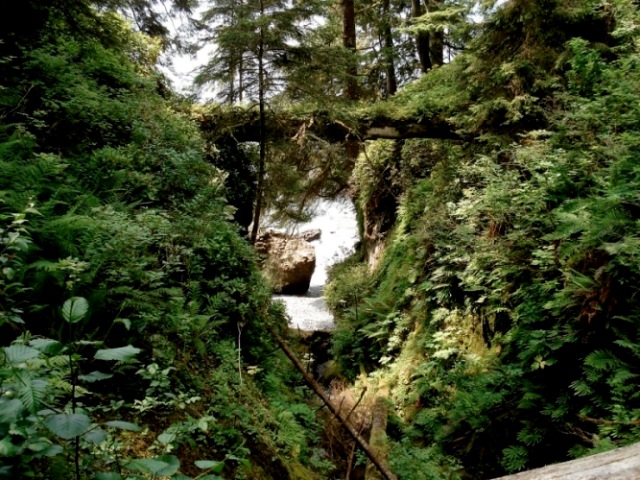 Canada Vancouver, Juan de Fuca Marine Trail, Glimpse of beach near Lines Creek , Walkopedia