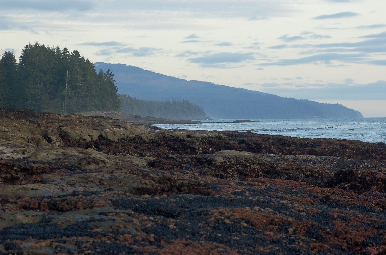 Juan de Fuca Marine Trail
Sundown at Botanical Beach  - © flickr user- C Wood