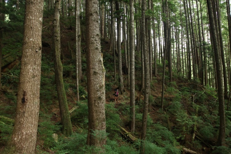 Canada Vancouver, Juan de Fuca Marine Trail, , Walkopedia