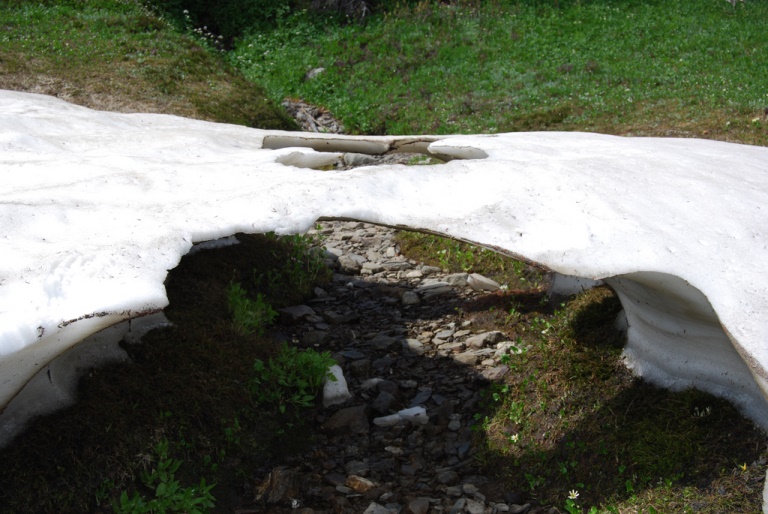 Canada Alberta: Jasper NP, Skyline Trail, , Walkopedia