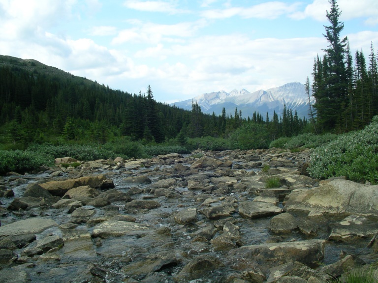 © flickr user- Michael Lawton Skyline Trail: © flickr user- Michael Lawton
