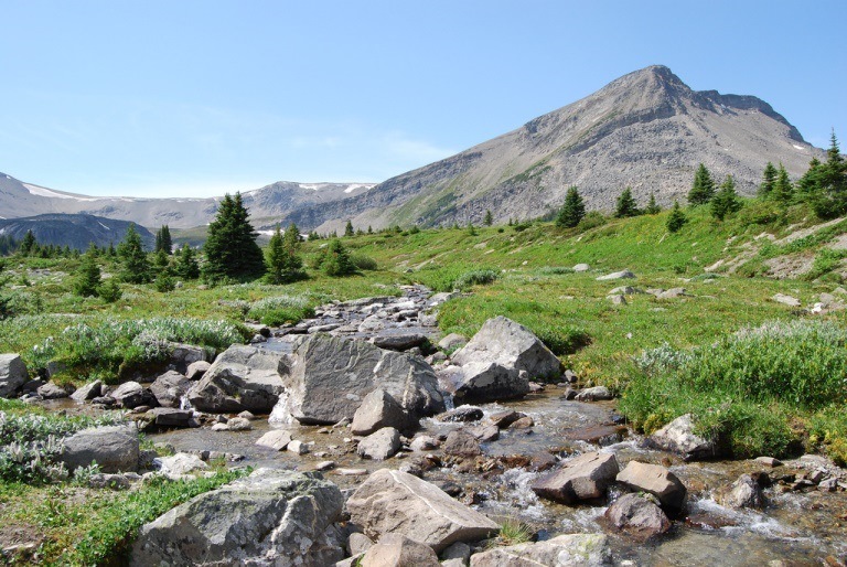 © flickr user- Michael Lawton Skyline Trail: © flickr user- Michael Lawton
