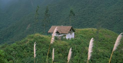 Ecuador Southern Andes, Podocarpos, , Walkopedia