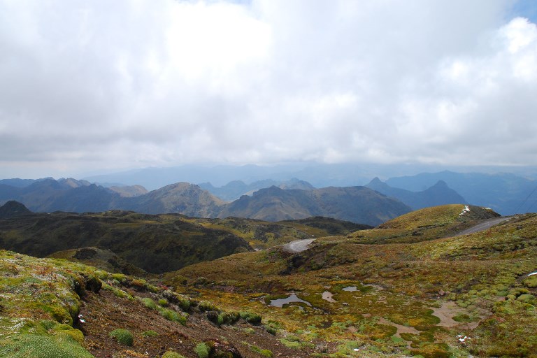 Ecuador Central Andes, Papallacta Lake District , Above the Papallacta Pass 14,000 ft , Walkopedia