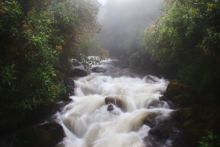 Papallacta Lake District : Mountain stream, Papallacta   - © krheesy flickr user