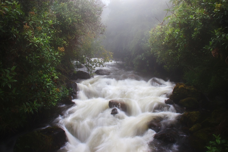 Ecuador Central Andes, Papallacta Lake District , Mountain stream, Papallacta  , Walkopedia