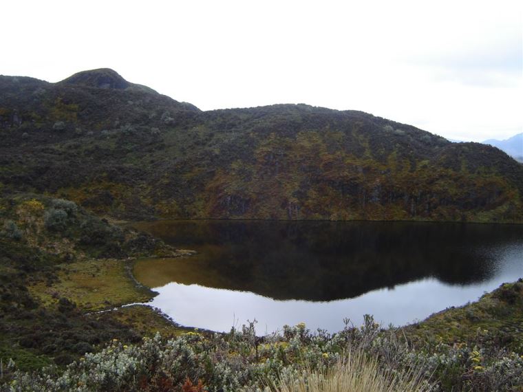 Ecuador Central Andes, Papallacta Lake District , Papallacta Hike 013 , Walkopedia