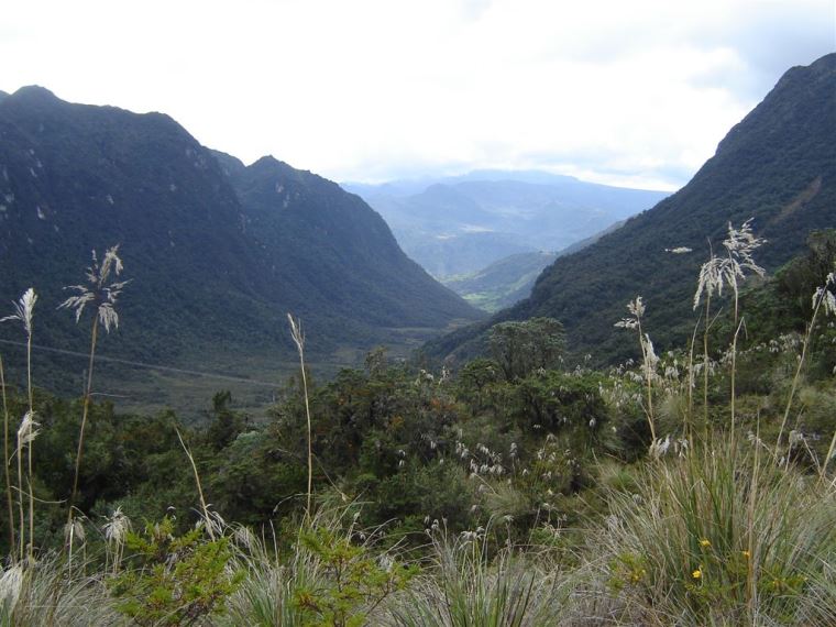 Ecuador Central Andes, Papallacta Lake District , Papallacta Hike 058 , Walkopedia