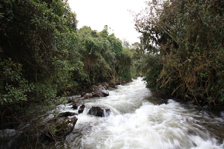 Ecuador Central Andes, Papallacta Lake District , Papallacta , Walkopedia