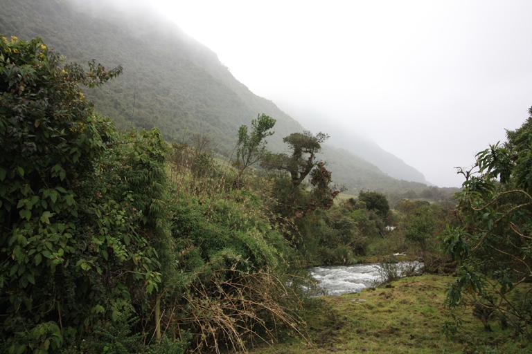 Ecuador Central Andes, Papallacta Lake District , Papallacta , Walkopedia