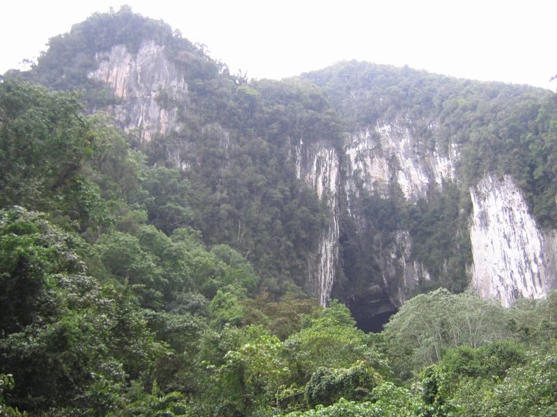© flickr user- Rashid Shukor The Pinnacles, Gunung Mulu: © flickr user- Rashid Shukor