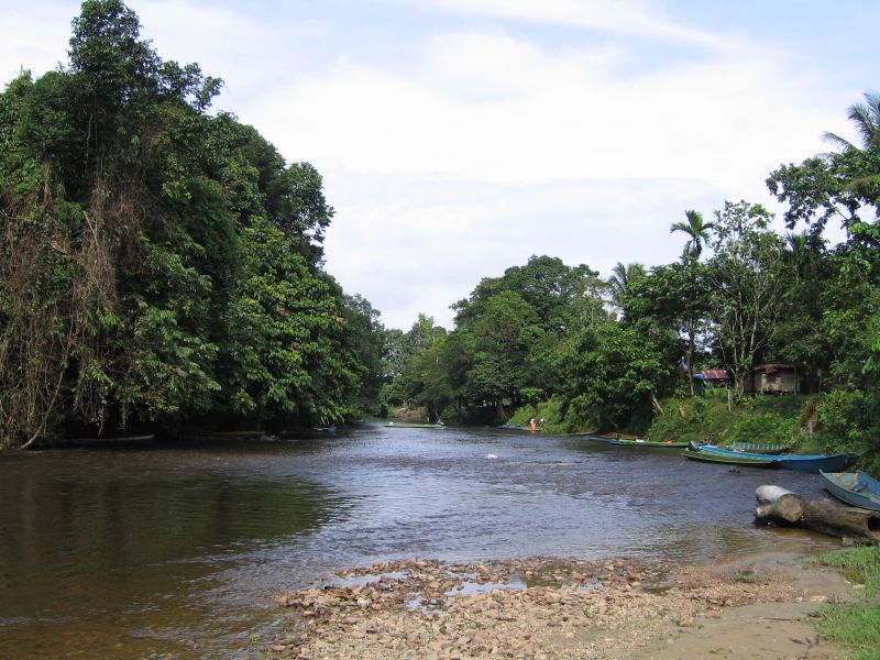 Malaysia Borneo, The Pinnacles, Gunung Mulu, , Walkopedia