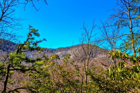 USA South: Great Smoky Mountains NP, Great Smoky Mountains National Park, Rainbow Falls Trail, Walkopedia