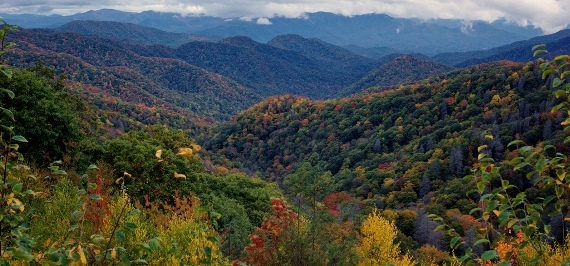 USA South: Great Smoky Mountains NP, Great Smoky Mountains National Park, Fall in the Great Smoky Mountains National Park, Walkopedia