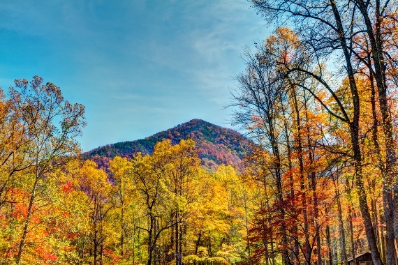 USA South: Great Smoky Mountains NP, Great Smoky Mountains National Park, Great Smoky Mountains National Park, Walkopedia