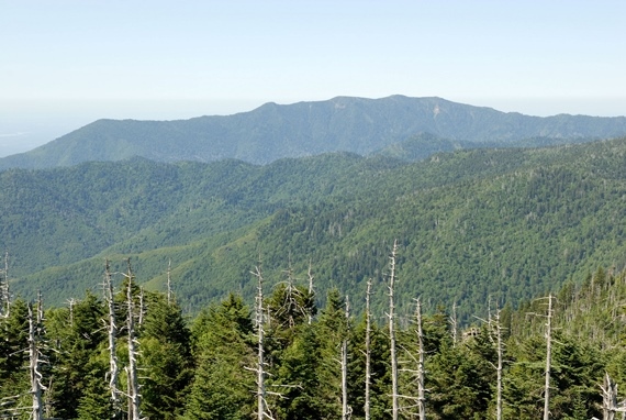 Mount Le Conte from Clingmans Dome - ©Flickr ??? Nicholas Turland Mount le Conte: Mount Le Conte from Clingmans Dome - ©Flickr ??? Nicholas Turland