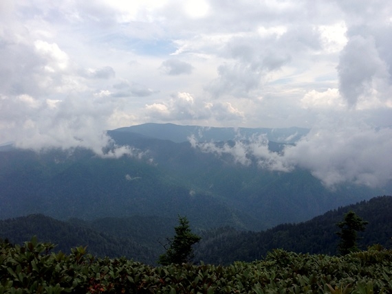 USA South, Mount le Conte, Looking out from Mount le Conte, Walkopedia