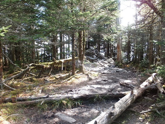 USA South, Mount le Conte, Hilltops, the summit of Mount le Conte, Walkopedia