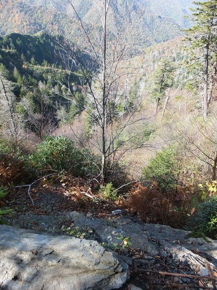 USA South, Mount le Conte, Mt. Le Conte Trail, Walkopedia