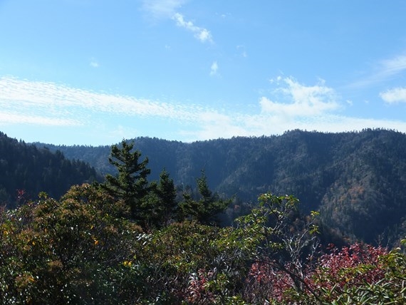 USA South, Mount le Conte, View from Gracie???s Pulpit on Mt. Le Conte, Walkopedia