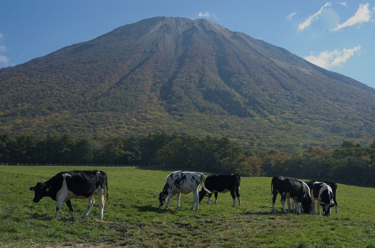 Mt. Daisen - © mstkeast flickr user Daisen: Mt. Daisen - © mstkeast flickr user