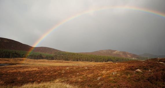 United Kingdom Scotland Cairngorms, Upper Dee Valley, , Walkopedia