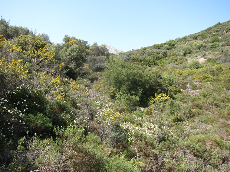 Greece Peloponnese, Mycenean Roads, Mycenae, , Walkopedia