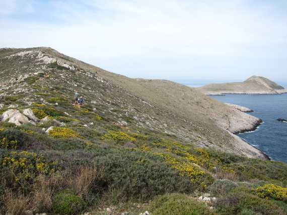 Greece Peloponnese: Taygetus range and the Mani, Taygetus and the Mani, Cape Tainaron, looking back north from just above the lighthouse, Walkopedia