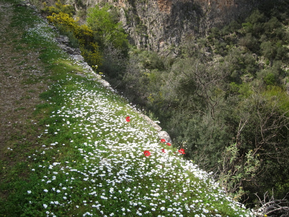 Greece Peloponnese: Taygetus range and the Mani, Taygetus and the Mani, Kalderimi to Anavriti, Walkopedia