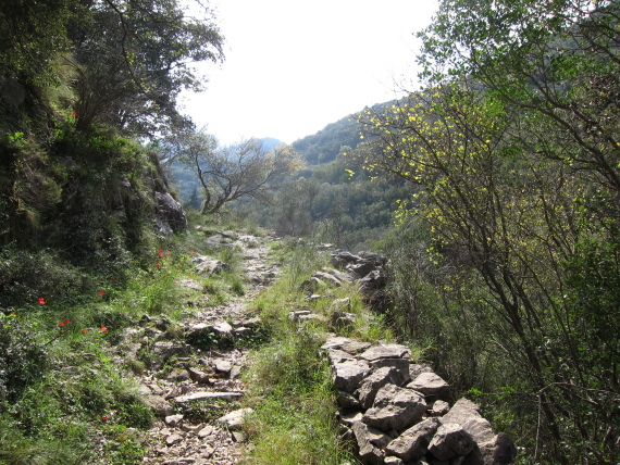 Greece Peloponnese: Taygetus range and the Mani, Taygetus and the Mani, Kalderimi to Anavriti, looking up the gorge, Walkopedia