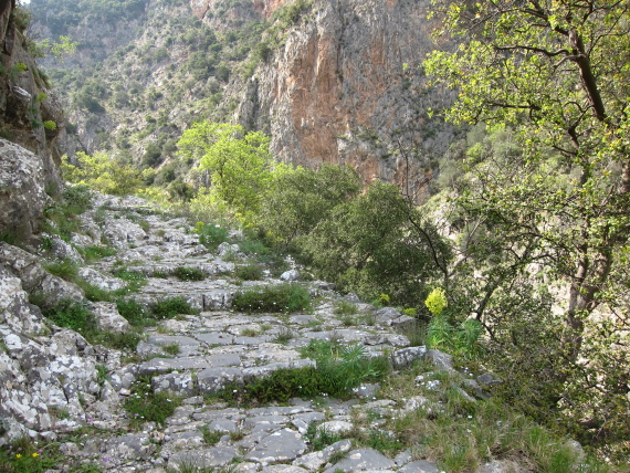 Taygetus and the Mani: Kalderimi to Anavriti, up the gorge - © William Mackesy