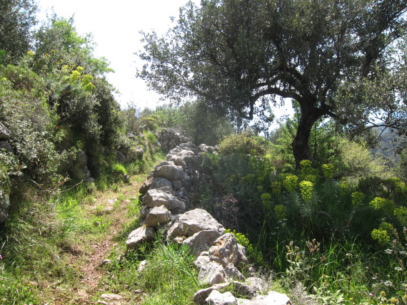 Greece Peloponnese: Taygetus range and the Mani, Taygetus and the Mani, Path above Viros Gorge, Walkopedia