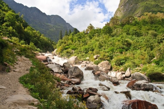 India NW: Uttarakhand, Garwhal, Kumaon Himalaya , Valley of Flowers, Walkopedia