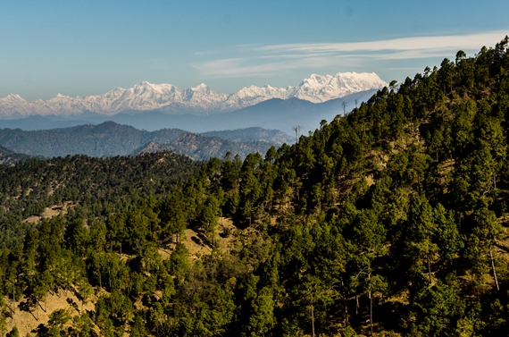 India NW: Uttarakhand, Garwhal, Kumaon Himalaya , Zero Point in Binsar, Walkopedia