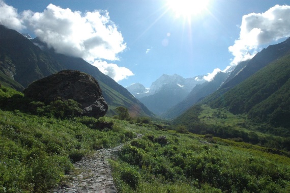 India NW: Uttarakhand, Garwhal, Kumaon Himalaya , Valley of Flowers na, Walkopedia