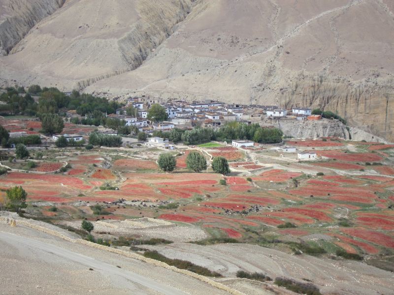 Nepal Annapurna & Mustang, Mustang, Ghami, Walkopedia