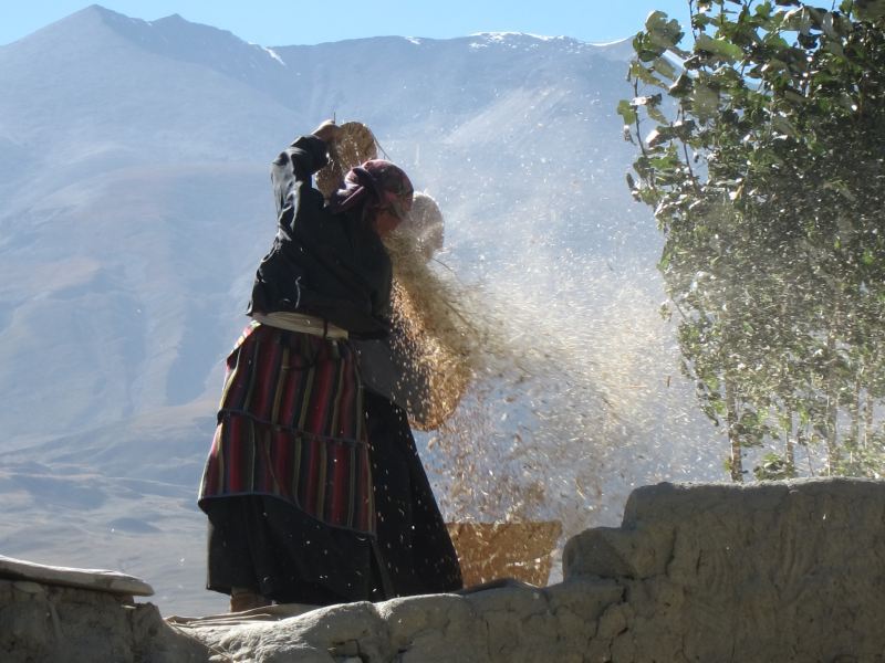 Nepal Annapurna & Mustang, Mustang, Winnowing, Walkopedia