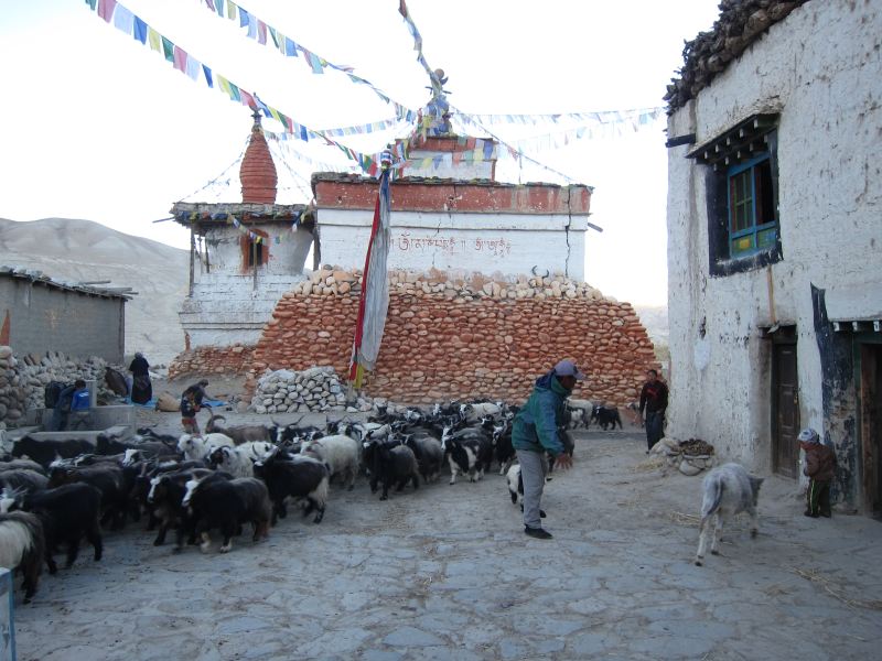 Nepal Annapurna & Mustang, Mustang, Daily commute, Lo Munthang, Walkopedia