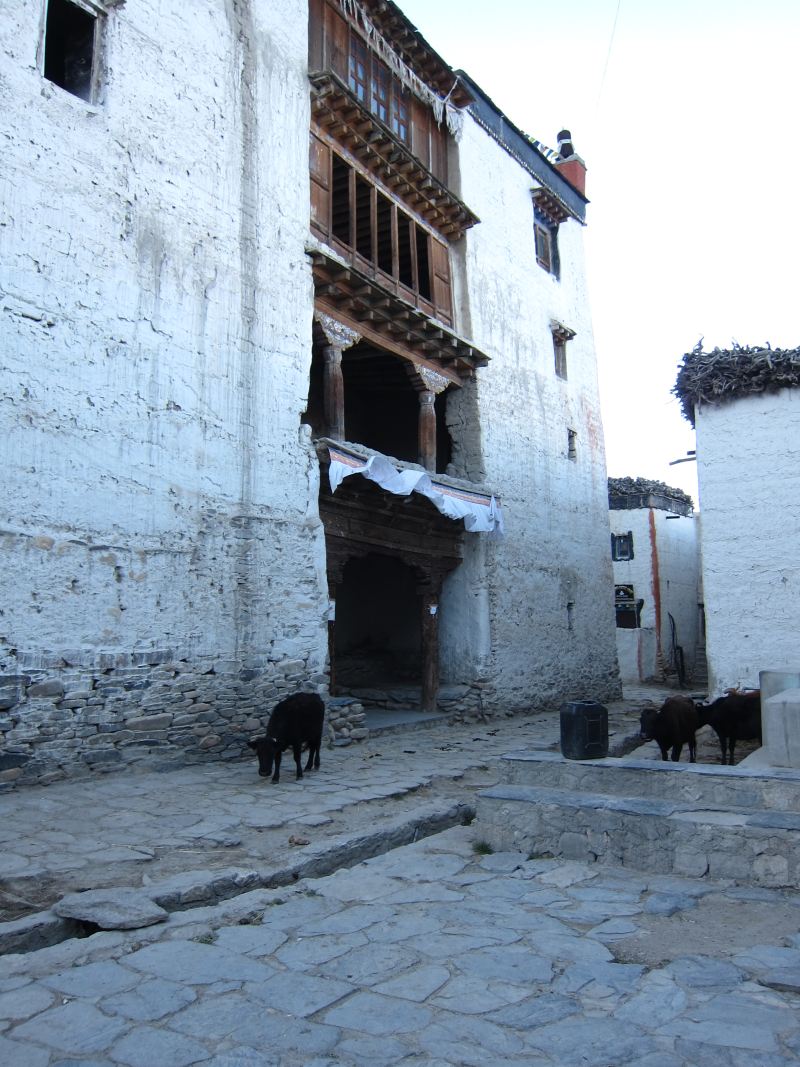 Nepal Annapurna & Mustang, Mustang, Royal palace, Walkopedia