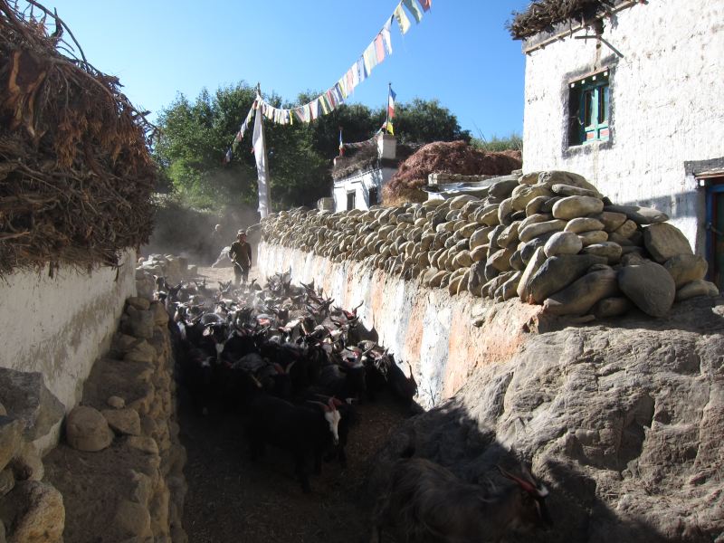 Nepal Annapurna & Mustang, Mustang, Ghami commute, Walkopedia