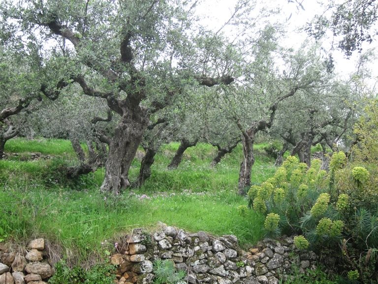 Greece Peloponnese: Taygetus range and the Mani, Viros Gorge, , Walkopedia