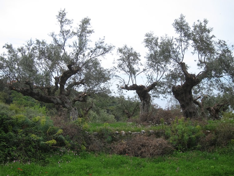 Greece Peloponnese: Taygetus range and the Mani, Viros Gorge, , Walkopedia