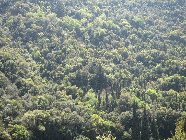 Greece Peloponnese: Taygetus range and the Mani, Viros Gorge, , Walkopedia