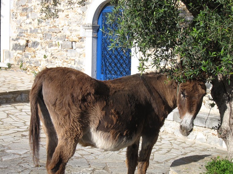 Greece Peloponnese: Taygetus range and the Mani, Viros Gorge, , Walkopedia