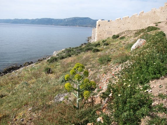 Greece Peloponnese: South-east, Monemvasia, Eastern Walls, Walkopedia