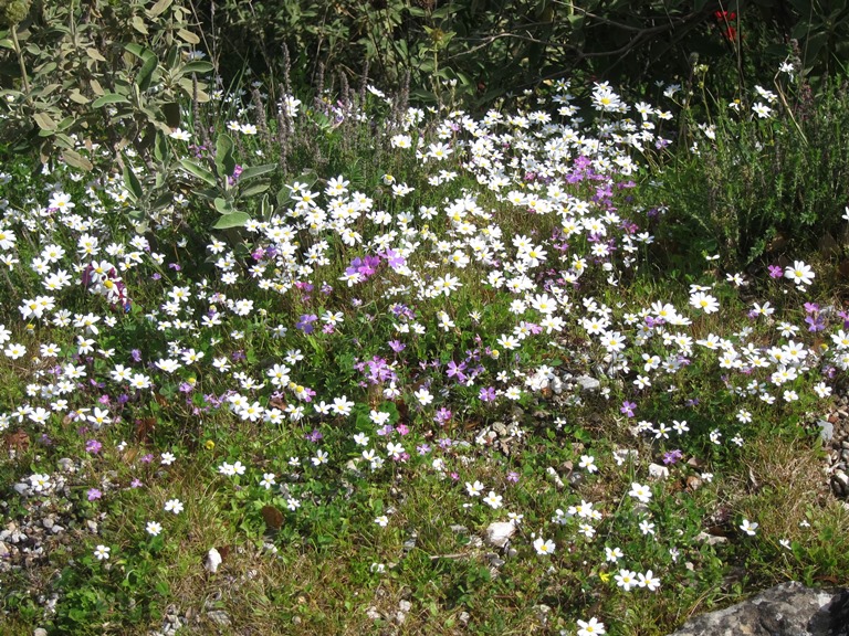 Greece Peloponnese: Taygetus range and the Mani, Byzantine Mystras, , Walkopedia