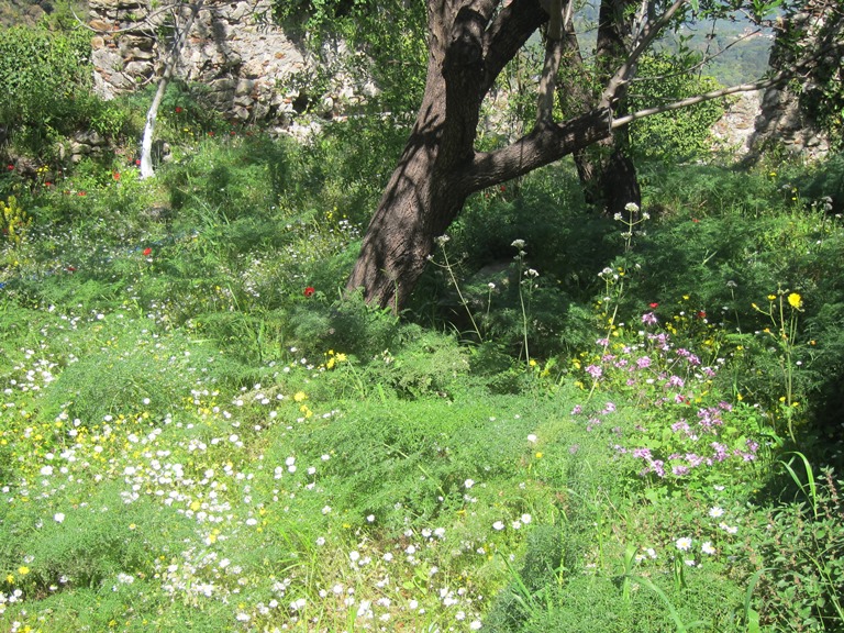 Greece Peloponnese: Taygetus range and the Mani, Byzantine Mystras, , Walkopedia