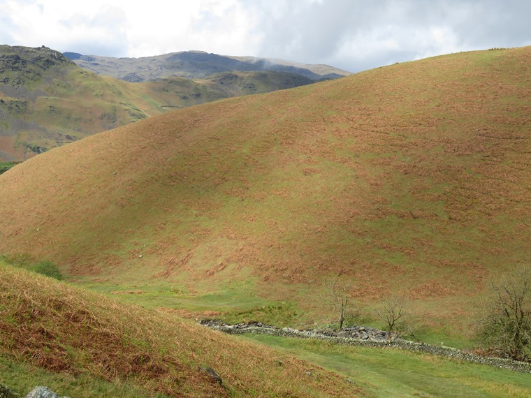 United Kingdom England Lake District, Coast to Coast, Lake District, Across Tongue Gill, good colours, Walkopedia