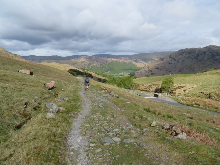 United Kingdom England Lake District, Coast to Coast, Lake District, Near Honister Pass,  descendng into Borrrowdale, Walkopedia