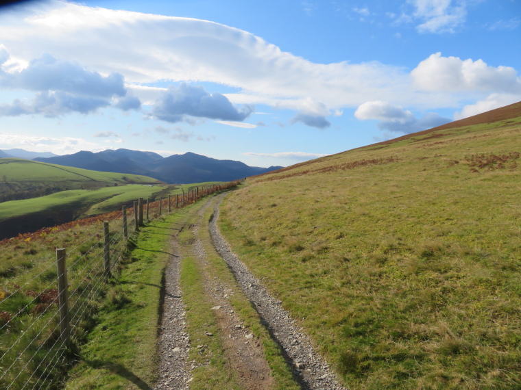 Skiddaw: Longscale fell lower flank, Cumbria Way - © William Mackesy